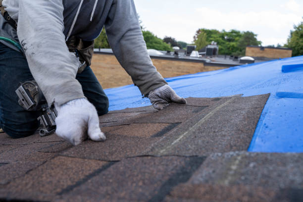 Best Flat Roof Repair Services  in Colon, MI