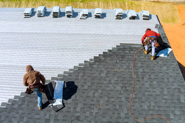 Best Flat Roof Repair Services  in Colon, MI