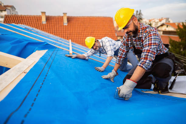Best Gutter Installation and Roofing  in Colon, MI