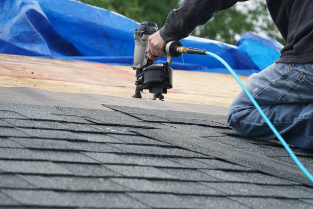 Best Roof Waterproofing Services  in Colon, MI