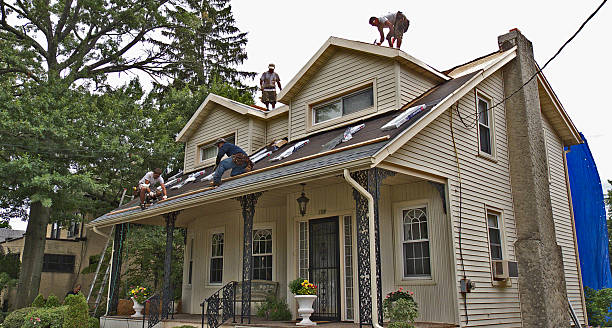 Best Affordable Roof Replacement  in Colon, MI