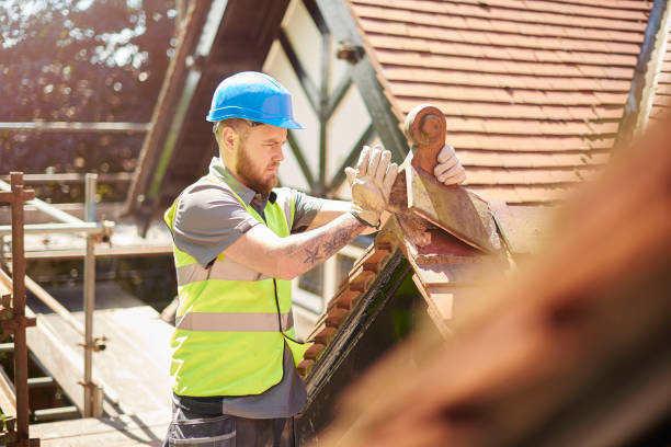 Best Roof Repair Services  in Colon, MI